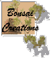 Bonsai Creations