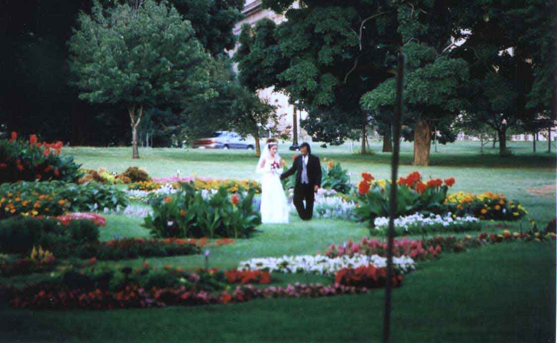 Weddings