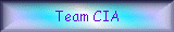 Team CIA