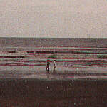 the beach...duh!