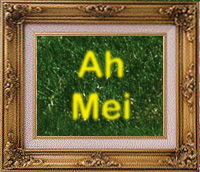 Ah Mei