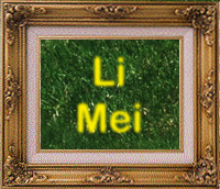 Li Mei