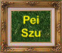Pei Szu