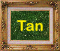 Tan