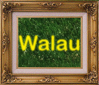 Walau