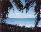 [tropics]