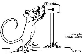 email graphic