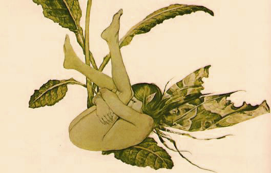 another Froud faerie