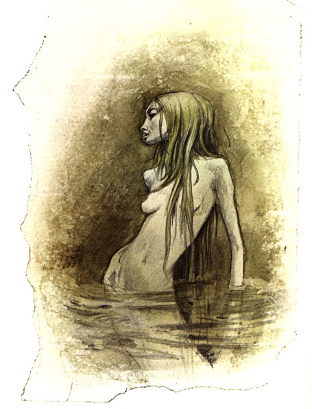 nymph
