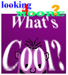 What's Cool?