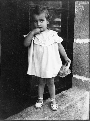 Fotoc-3.JPG (33557 bytes)