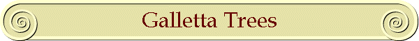 Galletta Trees