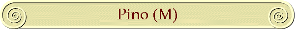 Pino (M)