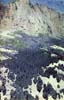 Olive Grove in the Mountains
