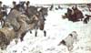 Peter I at Dog Hunting, 1902