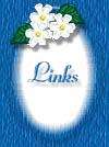 links 