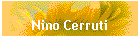 Nino Cerruti