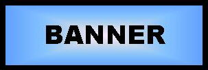 School Banner