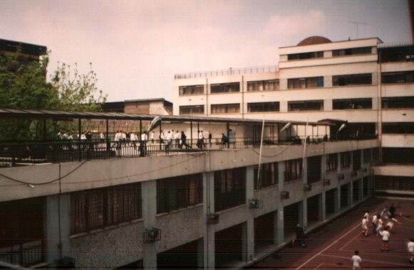 Roof Courtyard