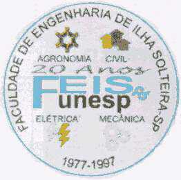 FEIS 20 anos