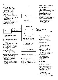 figura 2