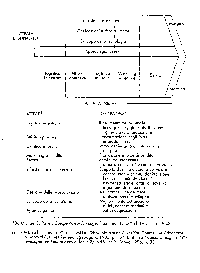 figura 1