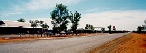 The Billabong Road House