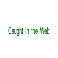 caught in web.... ;-)