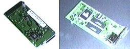 Video Card