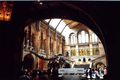 nhm.jpg (116308 bytes)