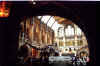 nhm.jpg (15307 bytes)