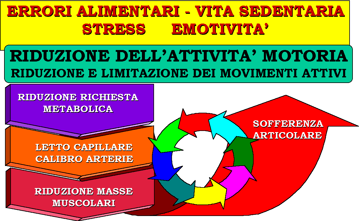 Come si innesta un circolo vizioso che porta alla degenerazione delle strutture articolari ed ossee