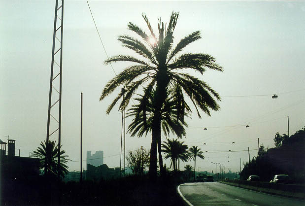 Haifa,City's entrance,Israel,1996