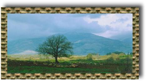 Galil-Israel,1996