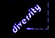 {DIVERSITY}
