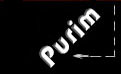 photos from purim