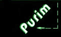 photos from purim