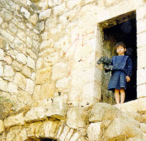 Lifta ,1999