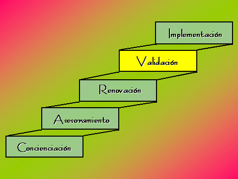 Soluciones al problema del a�o 2000; Validaci�n