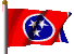 amtnflag.gif (8220 bytes)