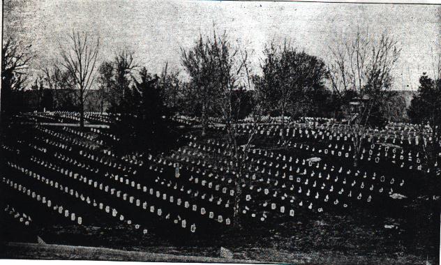 shiloh.jpg (66344 bytes)