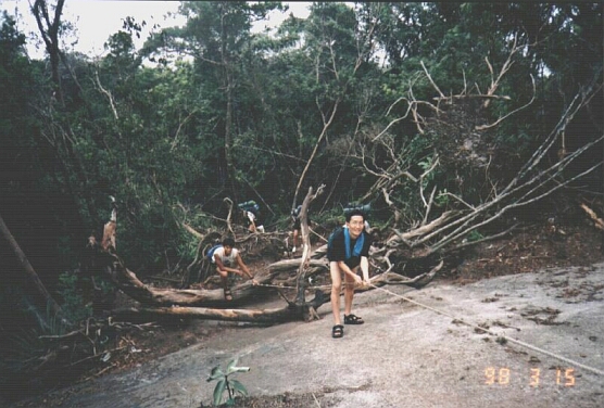 Before reaching the peak of the mountain