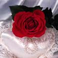 thumbnail of your picture #1