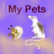 My Pets