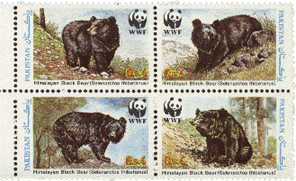 1989 - 7th October - Himalayan Black Bears