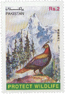 1997 - 29th October - Monal Pheasant - Set of 1