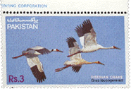1983 - 20th September - Siberian Cranes - Set of 1