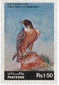 1986 - 20th January - Shaheen Falcon - Set of 1