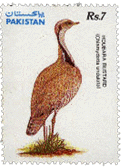 1991 - 4th November - Hoboura Bustard - Set of 1