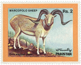 1986 - 4th December - Marcopolo Sheep - Set of 1
